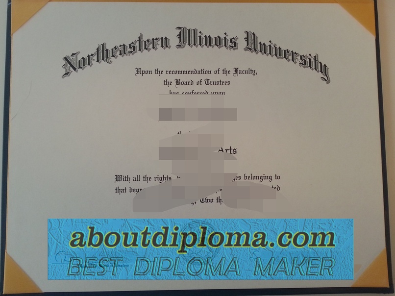 Is It Possible to Buy a Fake Northeastern Illinois University Degree? - 专业证书