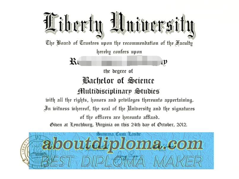 Earning a Rustom Liberty University Degree: Your Path to Academic Success - 专业证书