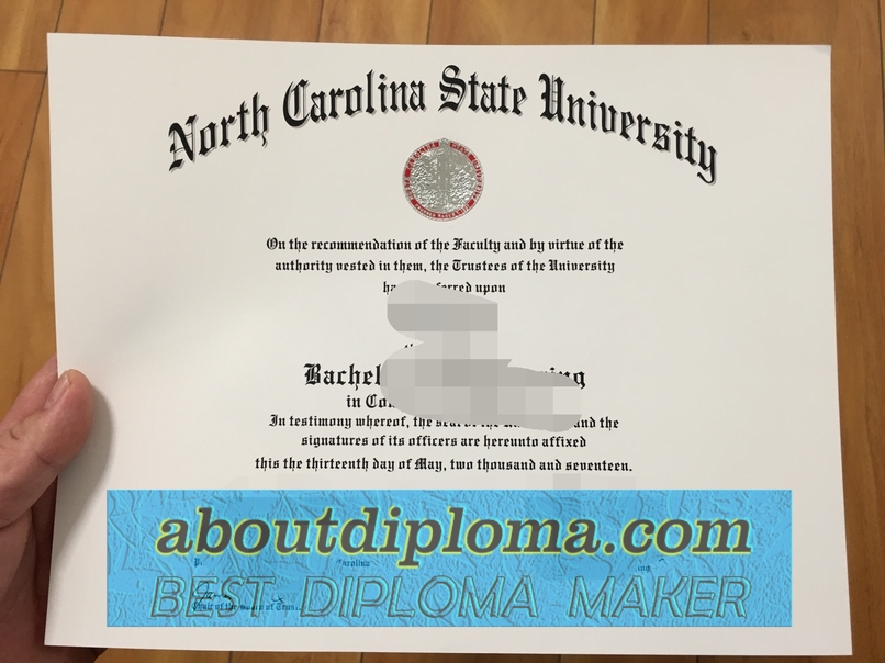 Rustom: A Journey Through North Carolina State University - 专业证书制造