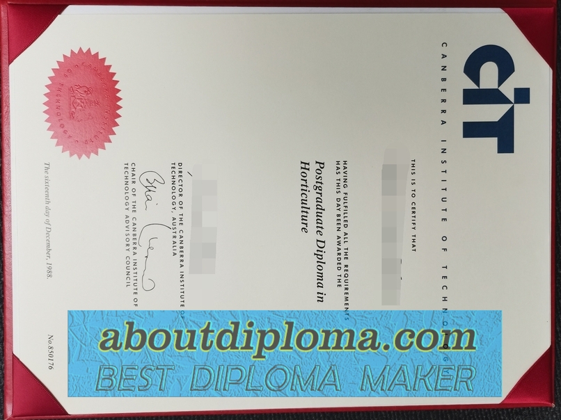 Buy Fake Canberra Institute of Technology Degree: Is It Worth the Risk? - 专业证书