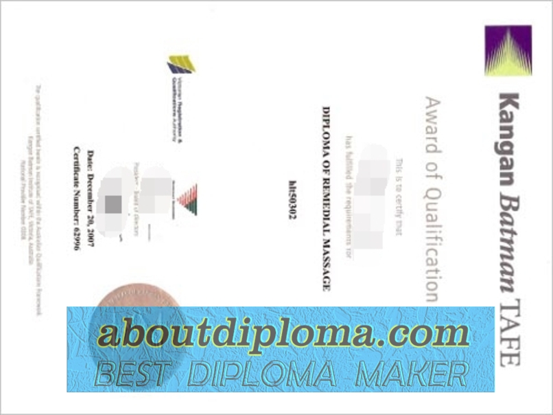 Replica Kangan Batman: A Closer Look at TAFE Diploma - 专业证书