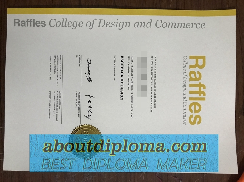 Replica Raffles Design Institute Diploma: Your Shortcut to a Creative Career - 专业证书
