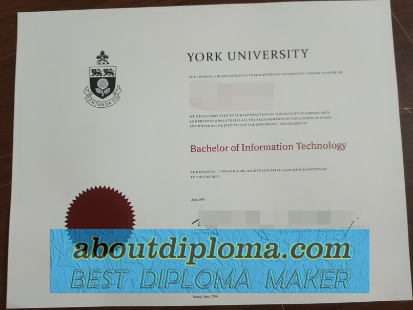 Buy Fake University of York Diploma: Is It Worth the Risk? - 专业证书