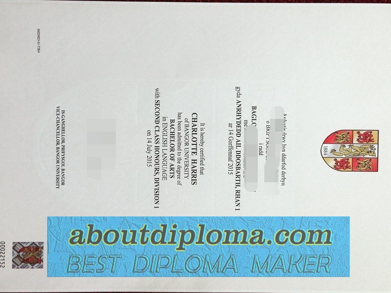 Replica Bangor University Degree: Your Path to Academic Success - 专业证书