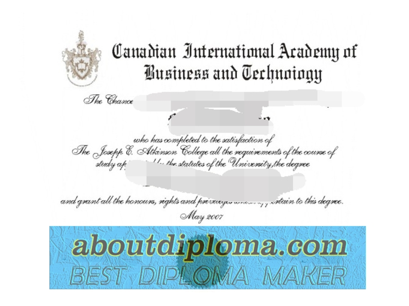 Unleashing Your Potential: Rustom International Academy's Business and Technology Degree