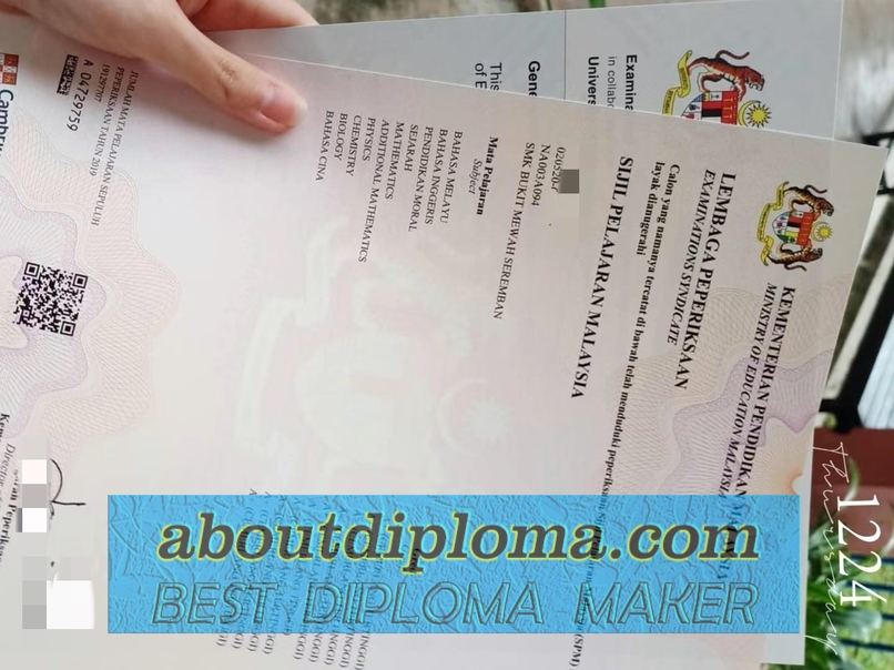 Buy Online Ministry of Education Diploma: A Comprehensive Guide - 专业证书