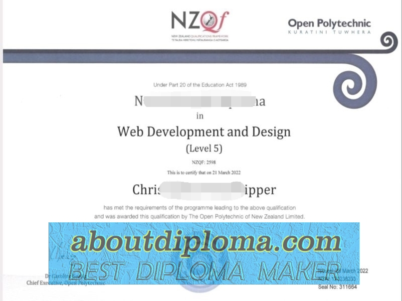 Rustom Open Polytechnic of New Zealand: A Comprehensive Guide to the Diploma Program - 专业证书
