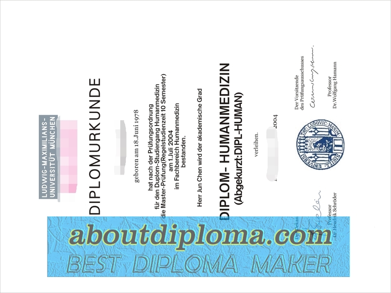Purchase Phony University of Munich Degree: Is It Worth the Risk? - 专业证书
