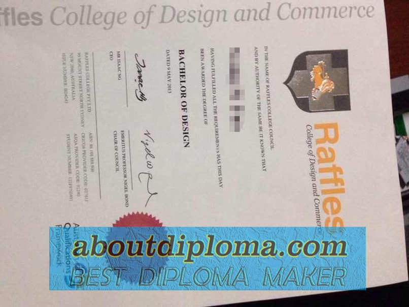 Copy Raffles Merchandising Institute Diploma: A Pathway to Fashion Success - 专业证书