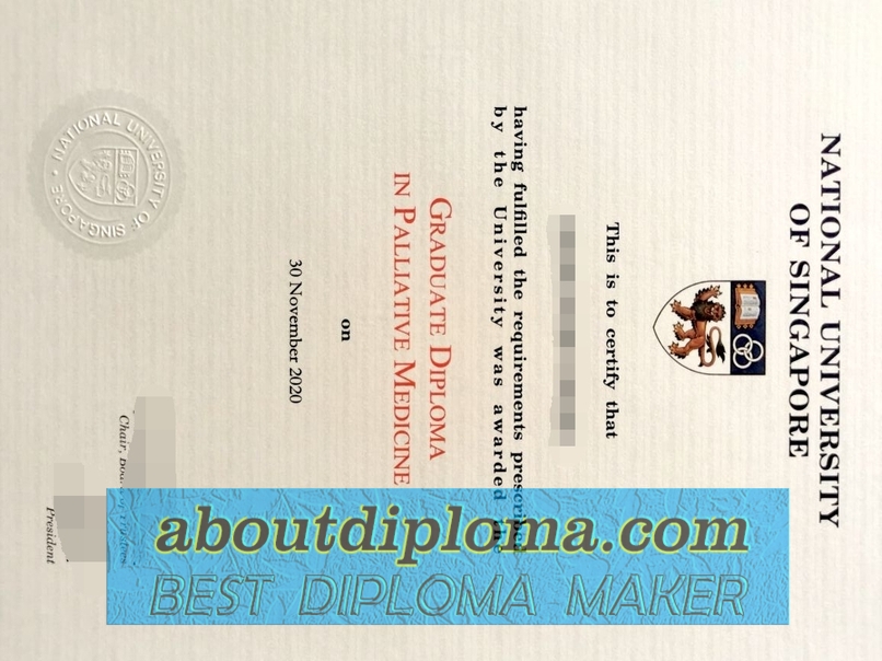 How to Buy a Fake 2020 National University of Singapore Diploma: A Step-by-Step Guide - 专业证书