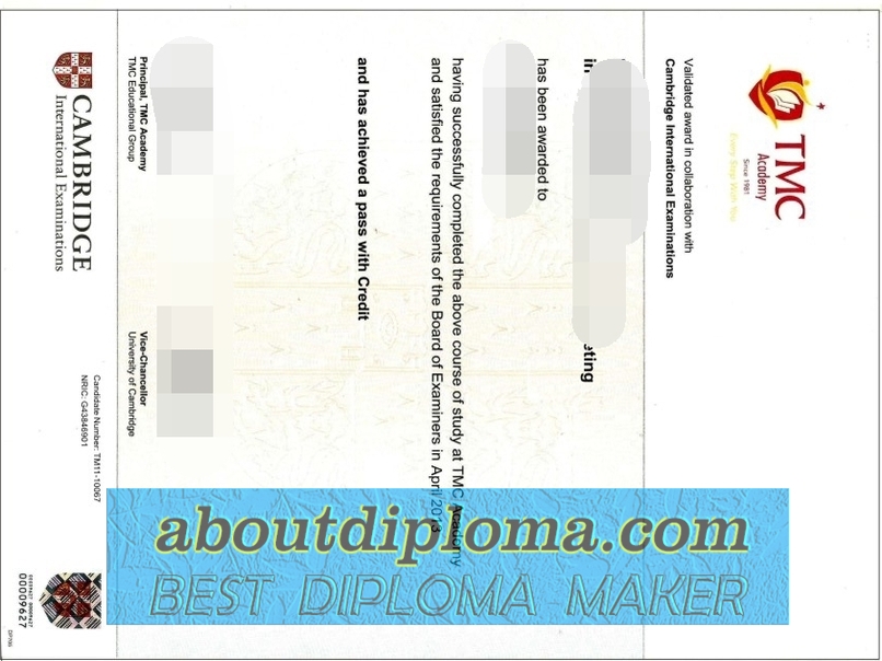 Is It Possible to Buy a Fake TMC Academy Diploma? - 专业证书