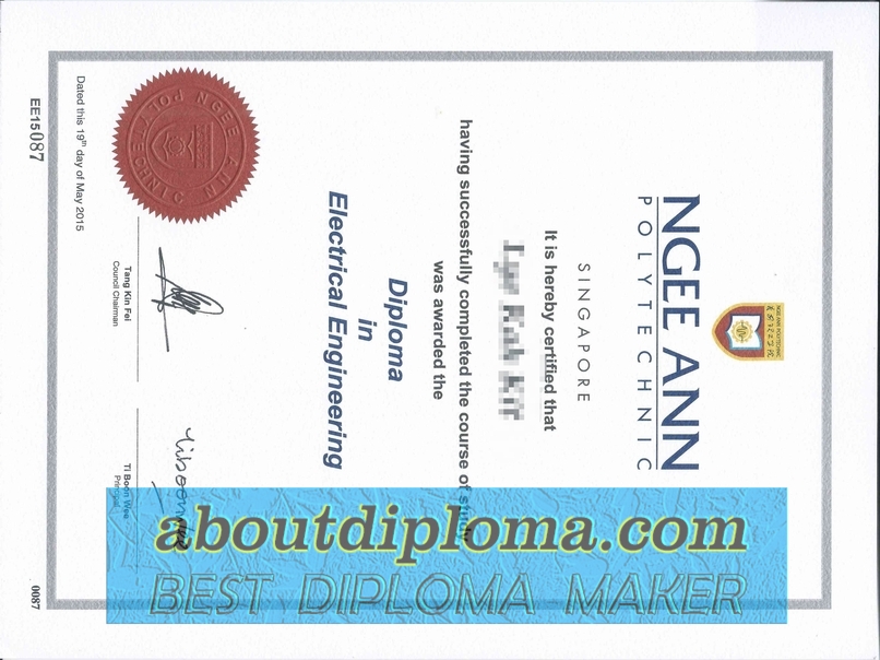 Purchase Fake Ngee Ann Polytechnic Diploma: Is It Worth the Investment? - 专业证书
